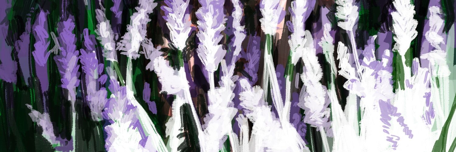eollooki's profile banner image