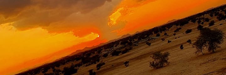 walid_albashiri's profile banner image