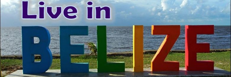 paul_roush's profile banner image