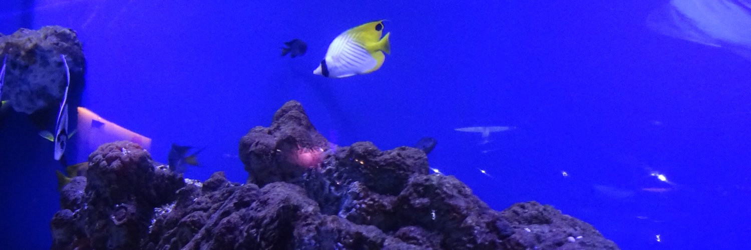 microfin04's profile banner image