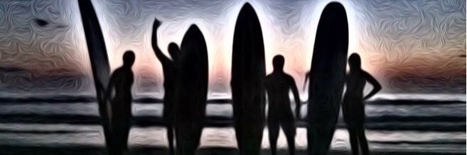 turtleknowsbest's profile banner image