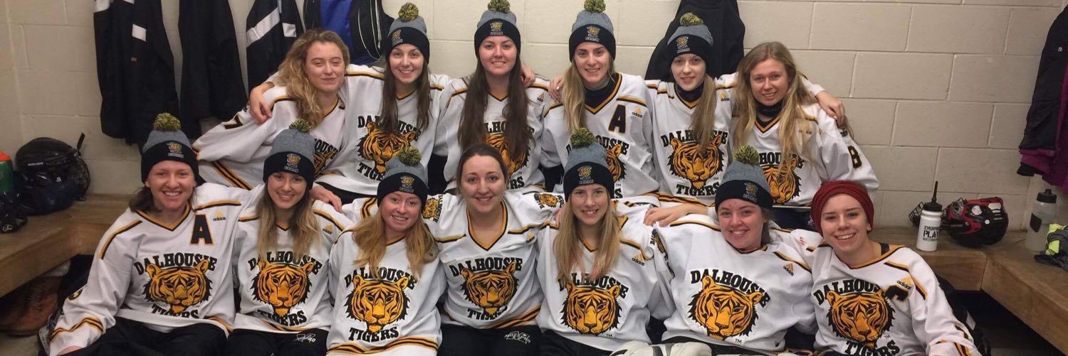 Dalhousie Ringette banner
