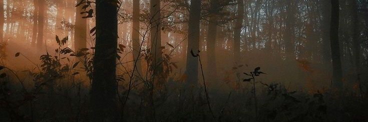 _marzap's profile banner image