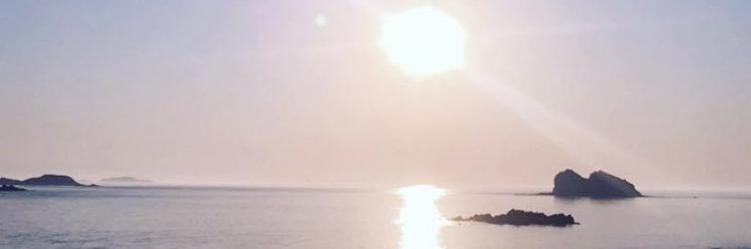 🌸LisaKelly(McDaid)🌸 banner