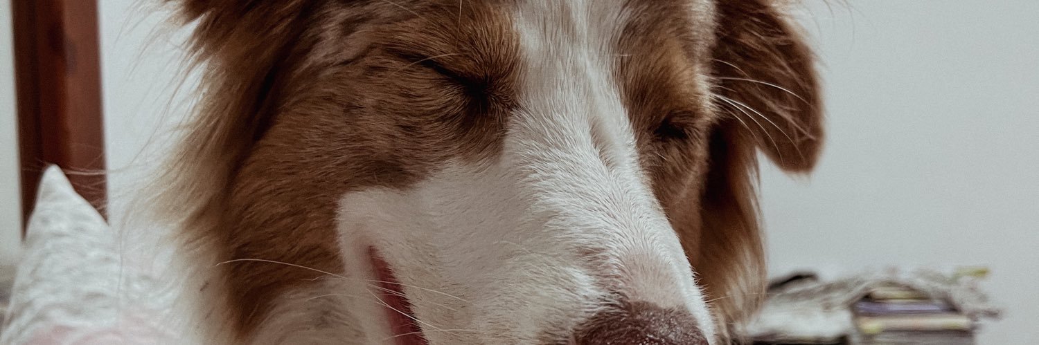 julieborges_'s profile banner image