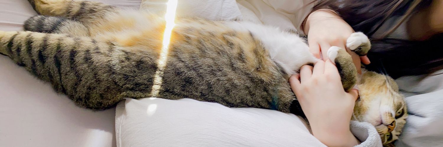 🐷トン Ton 💙🐷 banner