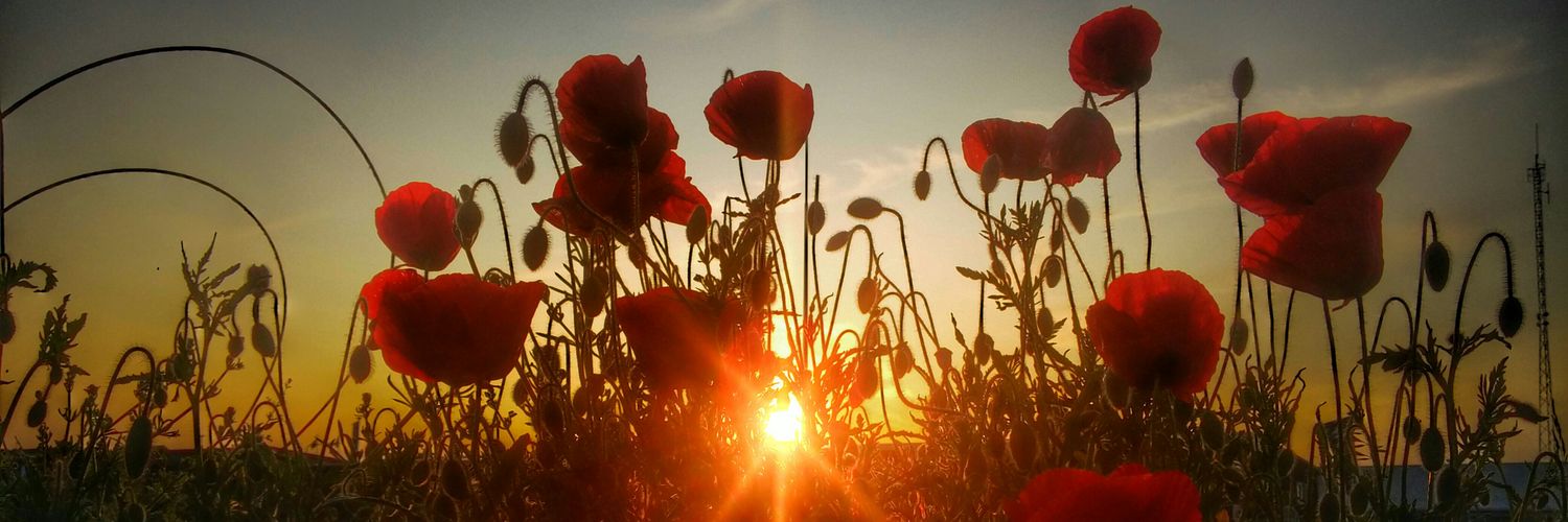 pchalmersuk's profile banner image