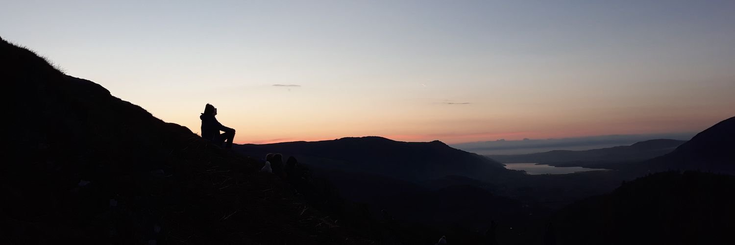 LapwingJames's profile banner image