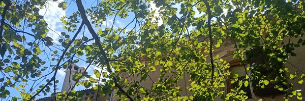 ChristelleIND Profile Banner