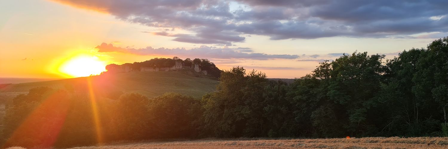 ptilou39's profile banner image