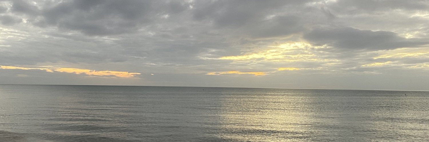 ginarendina's profile banner image