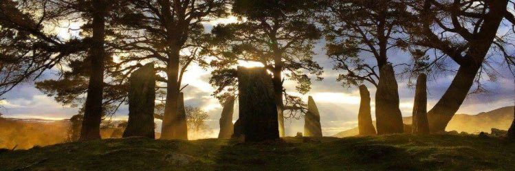 Tracy... a girl obsessed.💞 banner