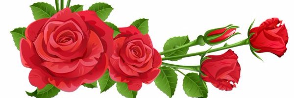 NajlaHaifa's profile banner image