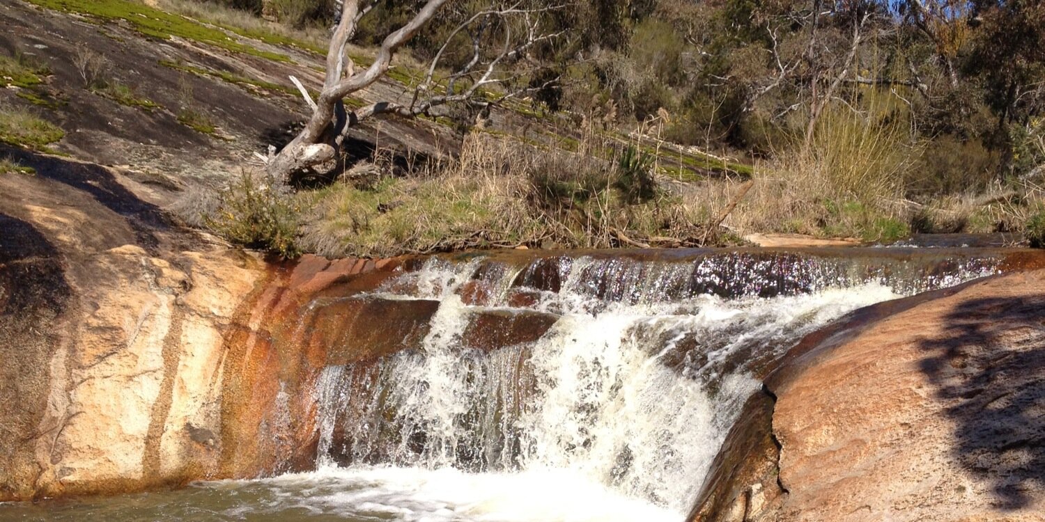 Lord Mitchell Thomas Westra banner