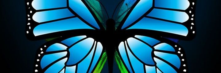elle151_'s profile banner image
