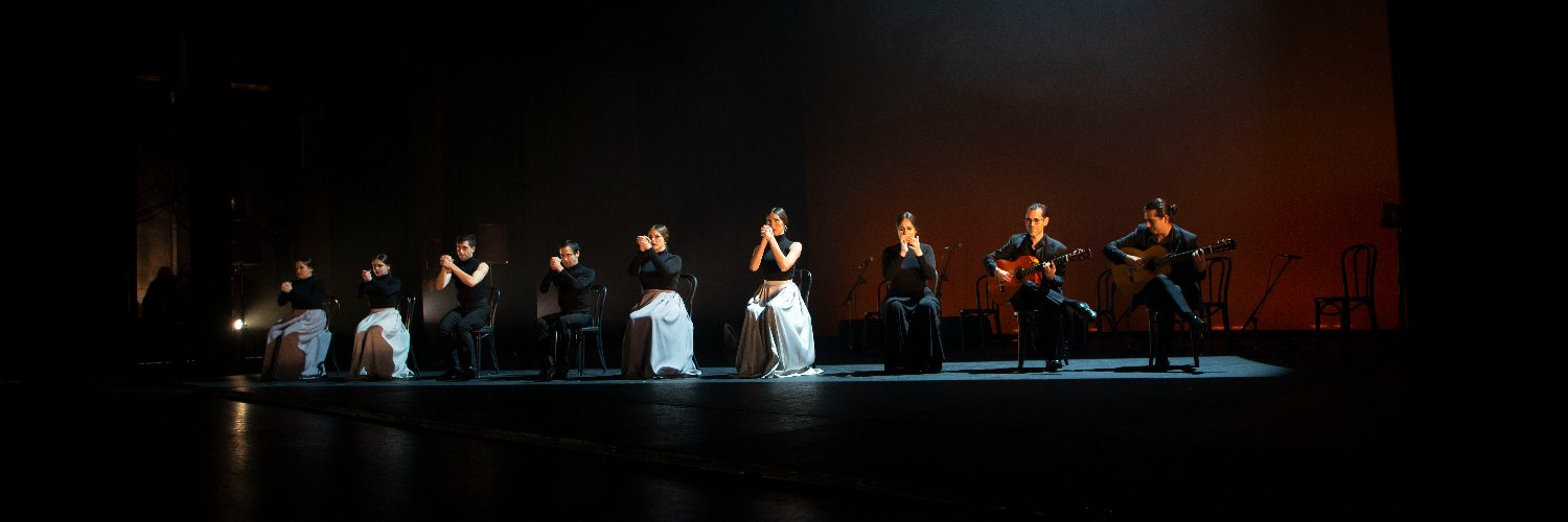 National Institute of Flamenco banner