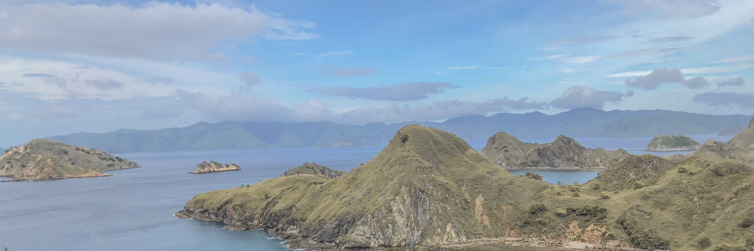 delladriani's profile banner image