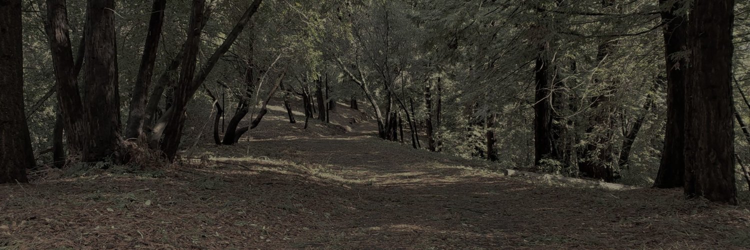 ReneVe6a's profile banner image