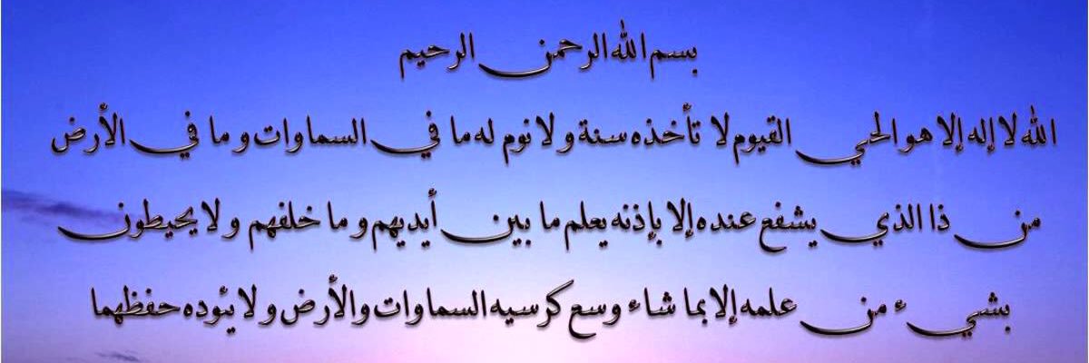 lailagir's profile banner image