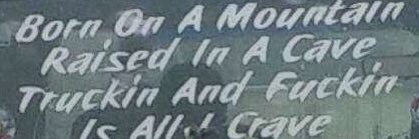 Doggo With A Bloggo banner