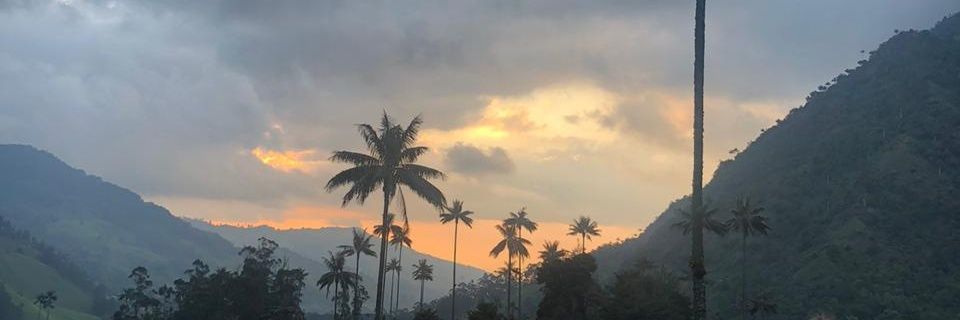 DanielaLaguado's profile banner image