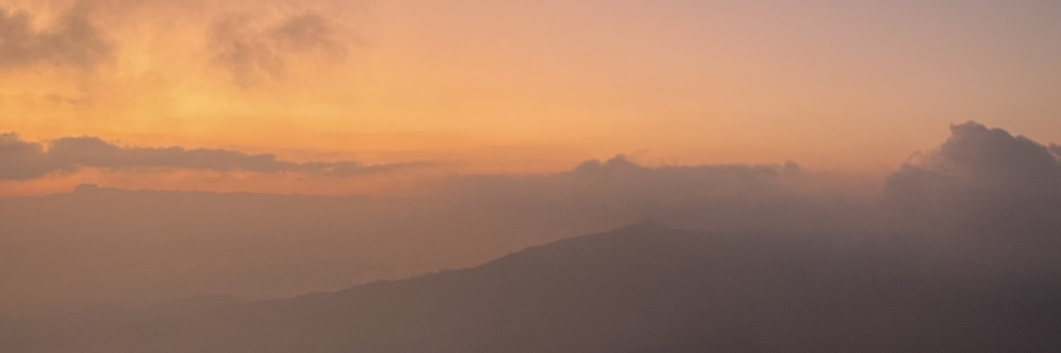 Fernando Sanrego T banner