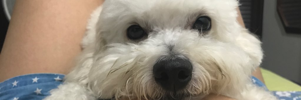 MariaOrtiiz's profile banner image