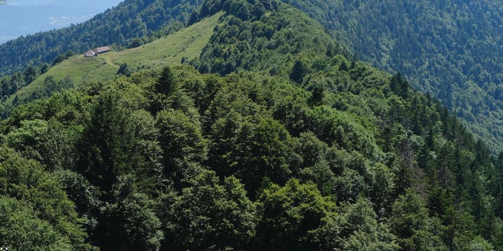35tironsi's profile banner image