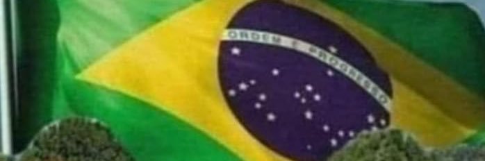 Thaty Soares Papini 🇧🇷🇧🇷 banner