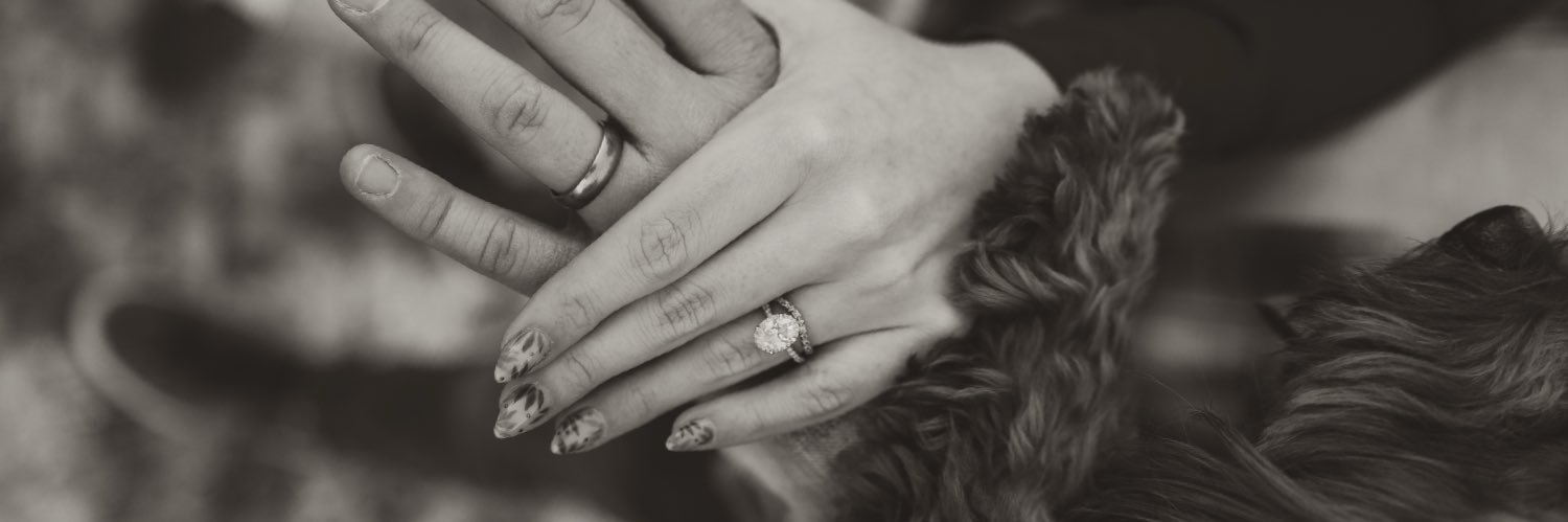 JessicaMoser_'s profile banner image