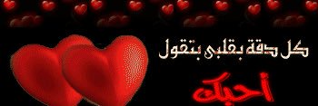 zh557385's profile banner image