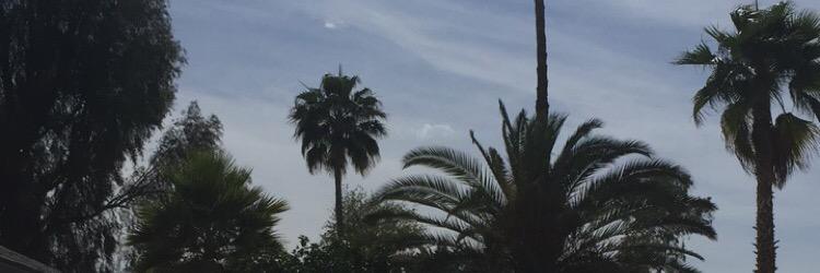 laur_walt's profile banner image