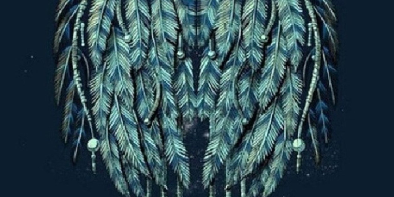_allisonleanne's profile banner image