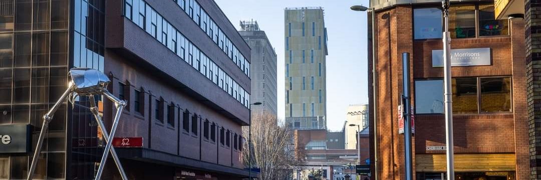 Woking Lib Dems banner