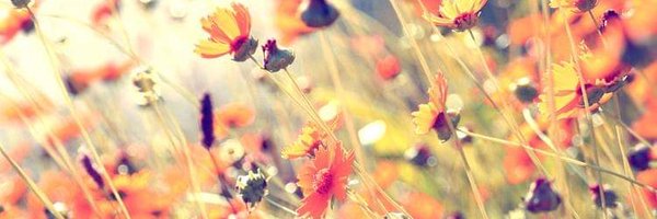 joiningme Profile Banner