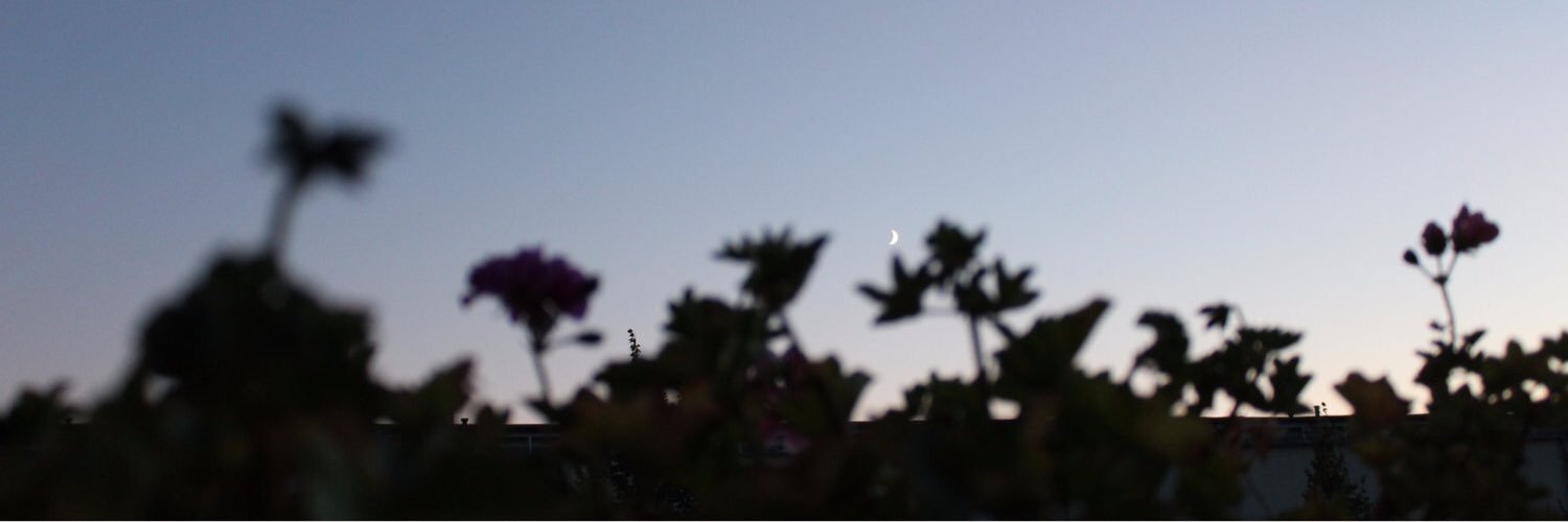 ShmriiHa's profile banner image