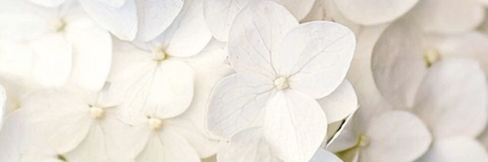 DaniellePaxtonx's profile banner image