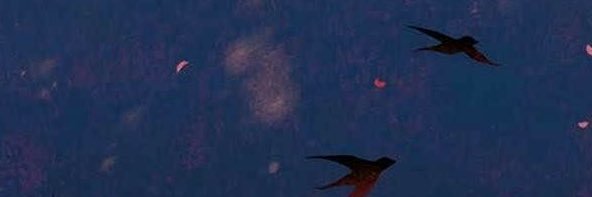 Him_0o's profile banner image
