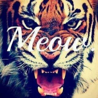 Ashley_Ramos4's profile banner image
