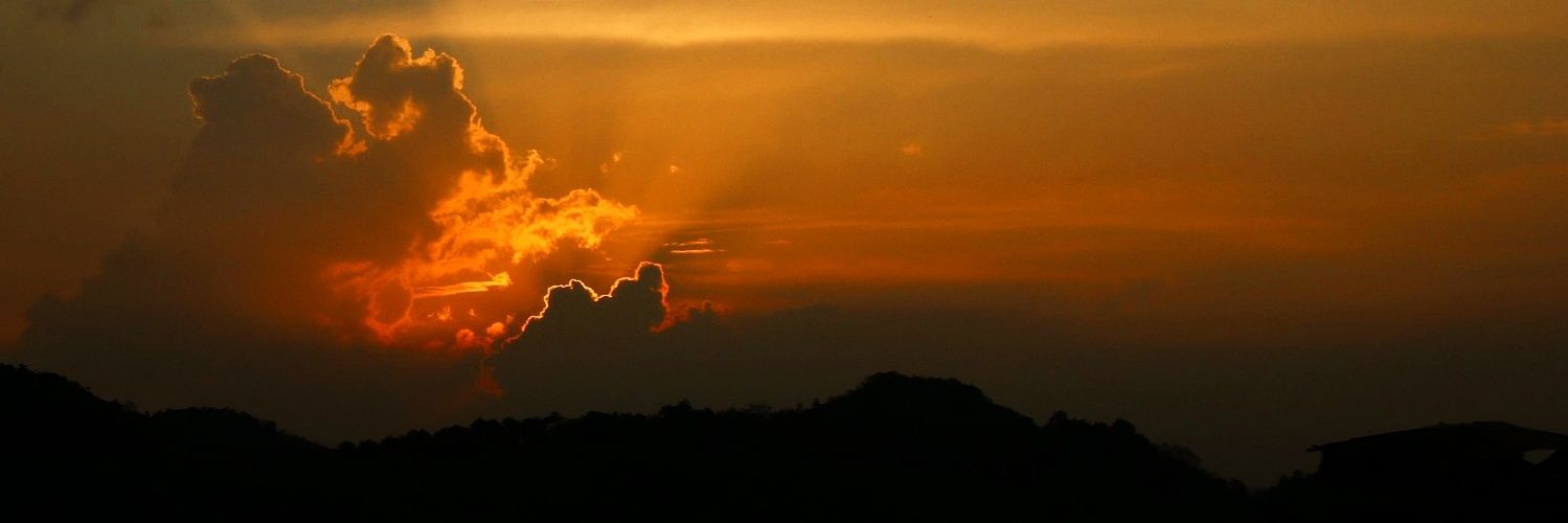 Vimukthi Perera banner