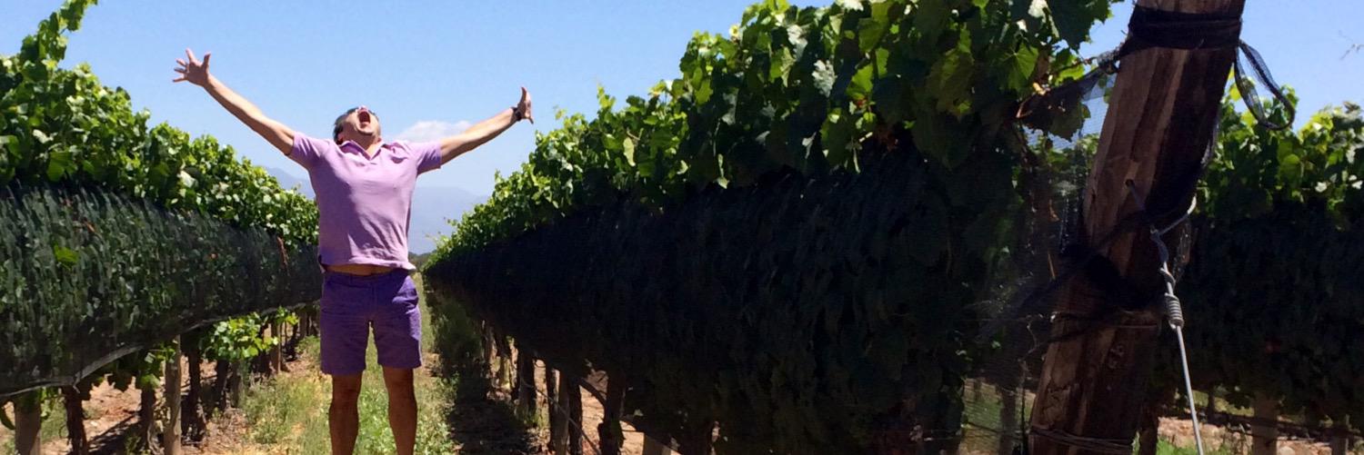 JOSE SALVADOR banner