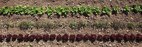 NigelFpc Profile Banner