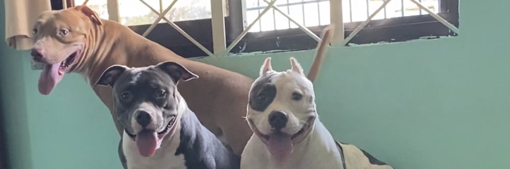 cheffyel's profile banner image