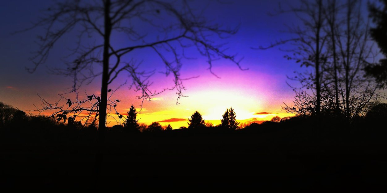 lizzieaphilip's profile banner image