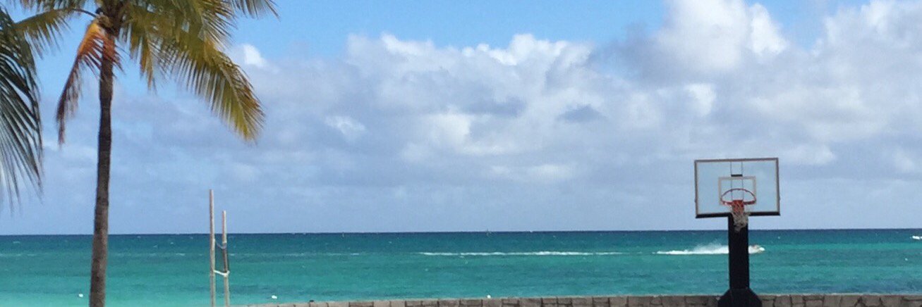 Debbie Williamson banner