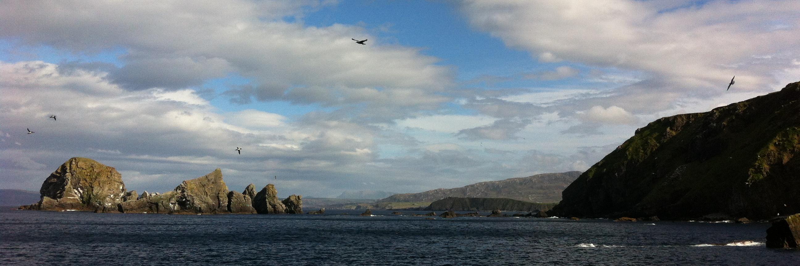 Christine Howard banner