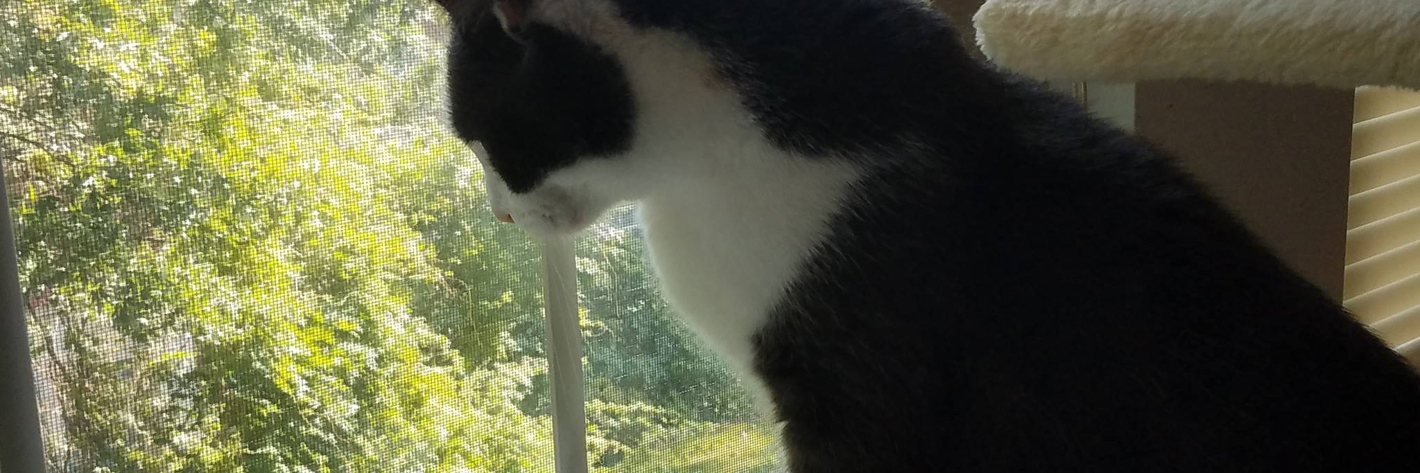 DrSuperb's profile banner image