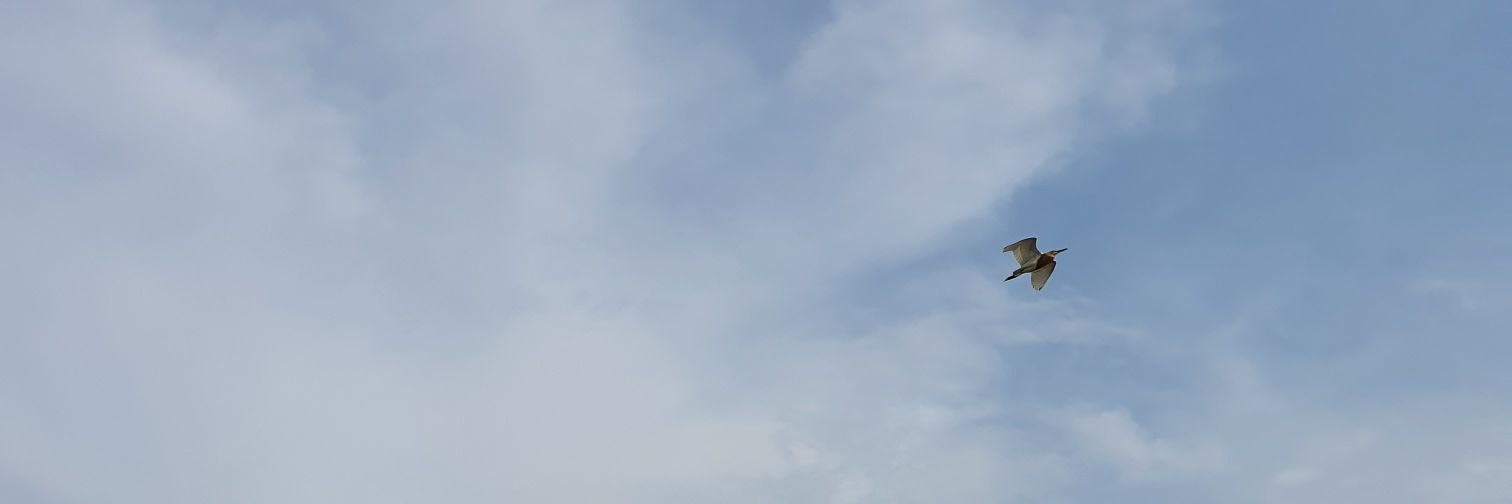 ailamaa_'s profile banner image
