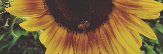 Ali_K626's profile banner image