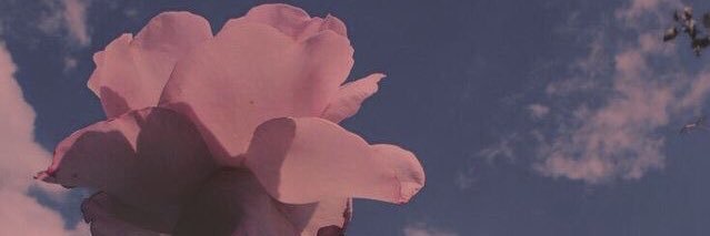 tala_real's profile banner image